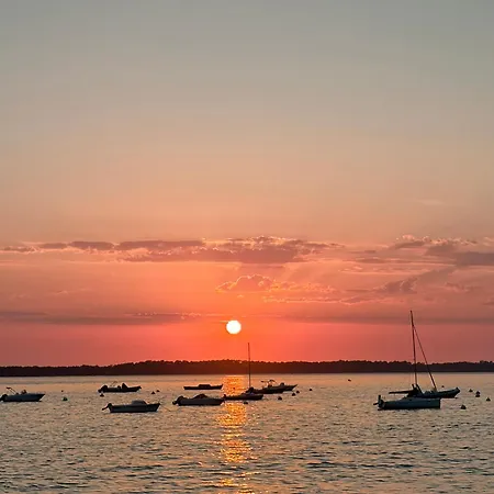 T2 Avec Jardin - Port De Larros - Coeur Bassin Gujan-Mestras